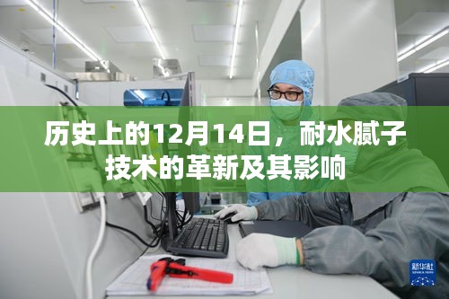 百鸟归巢 第3页