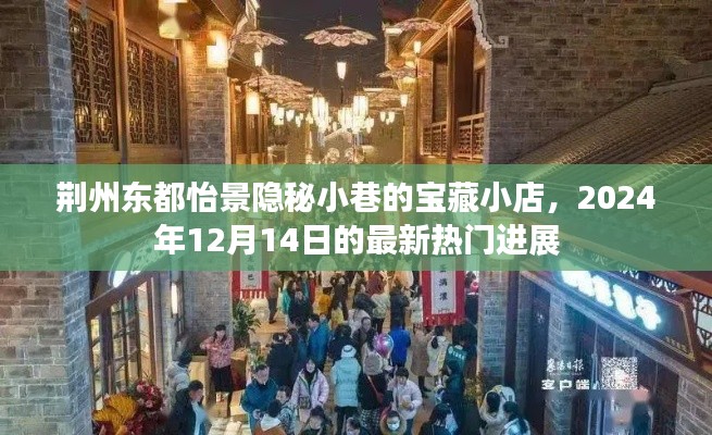 荆州东都怡景隐秘小巷宝藏小店,最新热门进展揭秘(2024年12月14日)