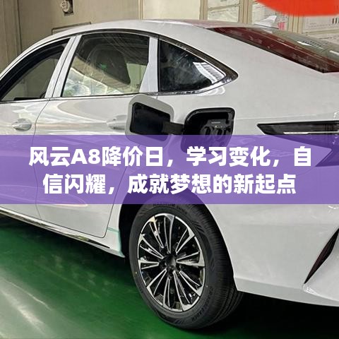网站案例 第349页