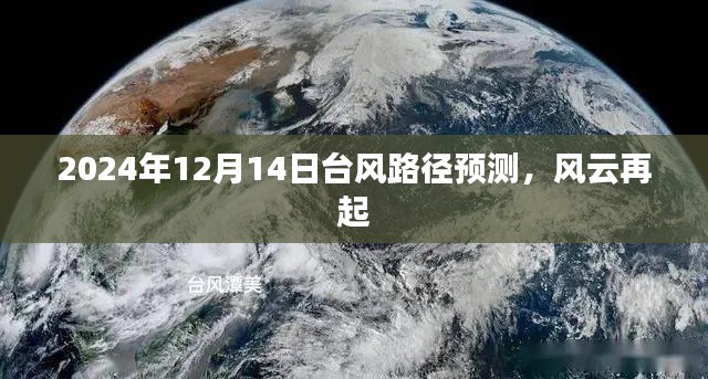 风云再起,预测2024年12月14日台风路径