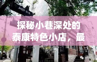 泰康特色小店的独特环境与最新险种探秘体验之旅