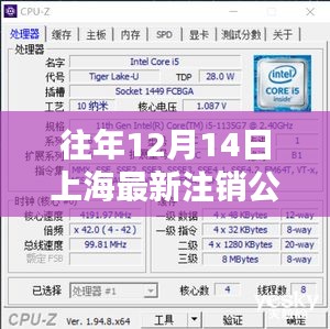 往年12月上海注销公司深度解析,特性、体验、竞品对比及用户群体洞察