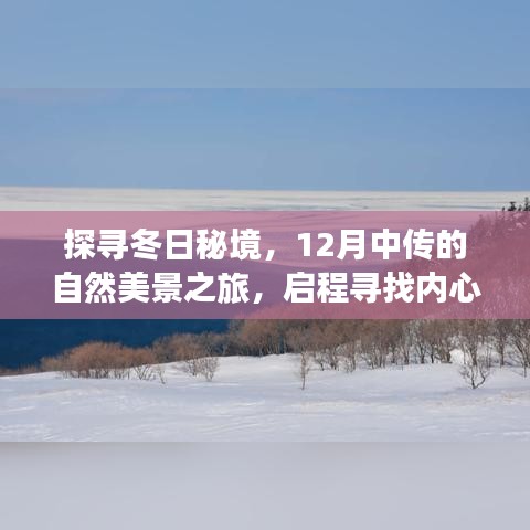 探寻冬日秘境,十二月中传自然美景之旅启程,寻找内心的宁静与平和