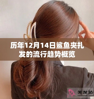 粗制滥造 第3页