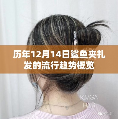 历年鲨鱼夹扎发流行趋势概览,12月14日数据解析