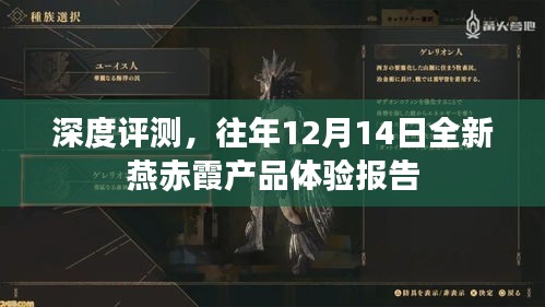 深度体验报告,燕赤霞全新产品评测报告(往年12月14日)