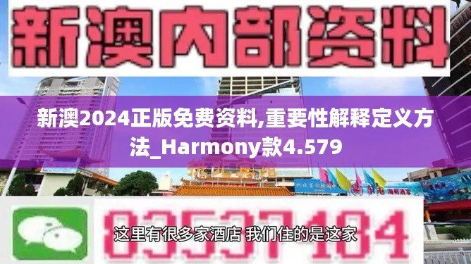 新澳2024正版免费资料,重要性解释定义方法_Harmony款4.579