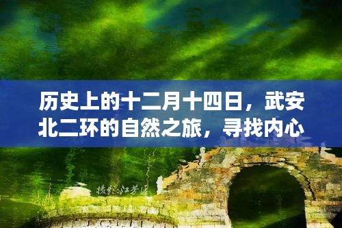 手不释卷 第3页