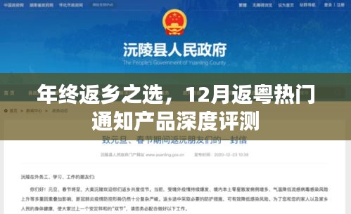 年终返乡热门选择,粤选产品深度评测与推荐