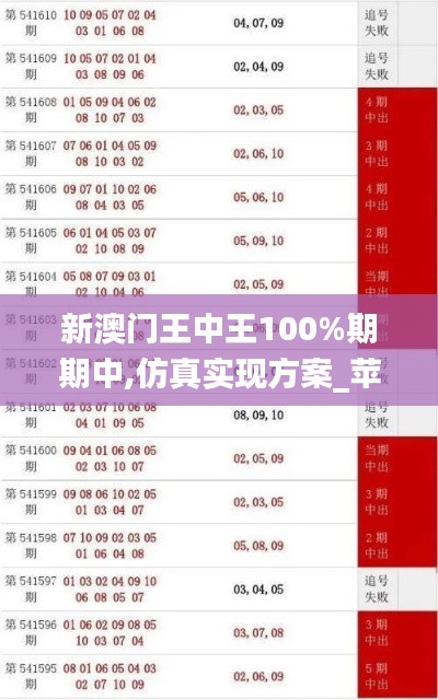新澳门王中王100%期期中,仿真实现方案_苹果款17.697