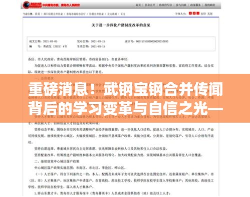 武钢宝钢合并传闻背后的学习变革,共同迎接钢铁行业未来篇章的自信之光(2024年)