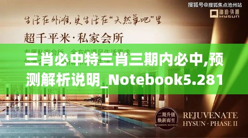 三肖必中特三肖三期内必中,预测解析说明_Notebook5.281