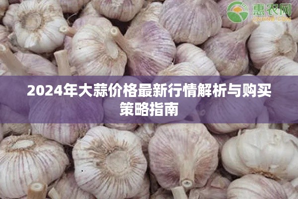 2024年大蒜价格行情解析及购买策略指南