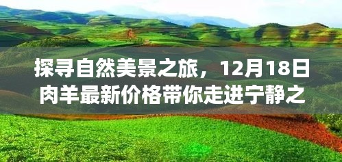 持之以恒 第3页