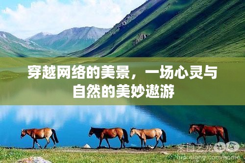 网络中的美景探索,心灵与自然的奇妙旅程