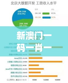 新澳门一码一肖一特一中2024高考,数据驱动方案实施_Prime8.154