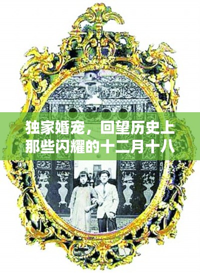 云屯鸟散 第3页