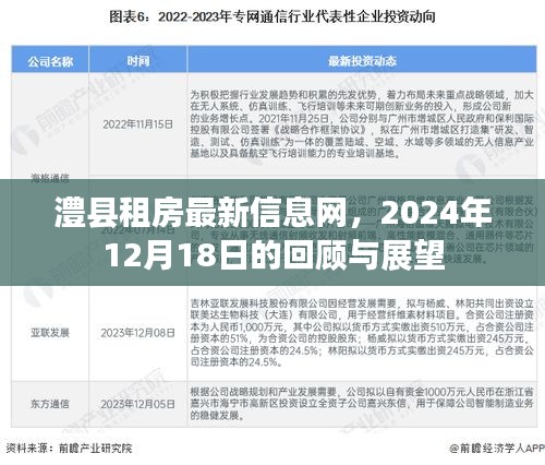 澧县租房最新信息回顾与展望,2024年12月18日回顾与未来展望