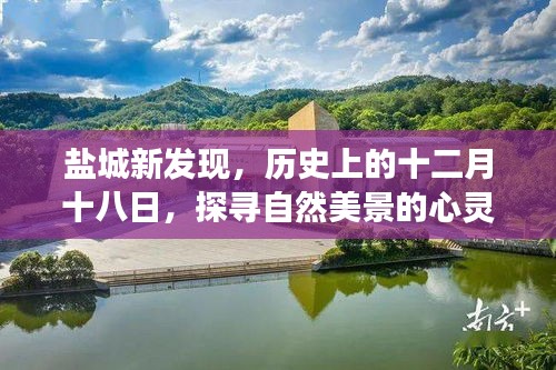 盐城新发现,探寻自然美景的心灵之旅——历史上的十二月十八日