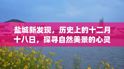 盐城新发现,探寻自然美景的心灵之旅——历史上的十二月十八日