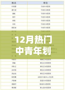 12月热门中青年划分全攻略,任务解析与技能掌握指南