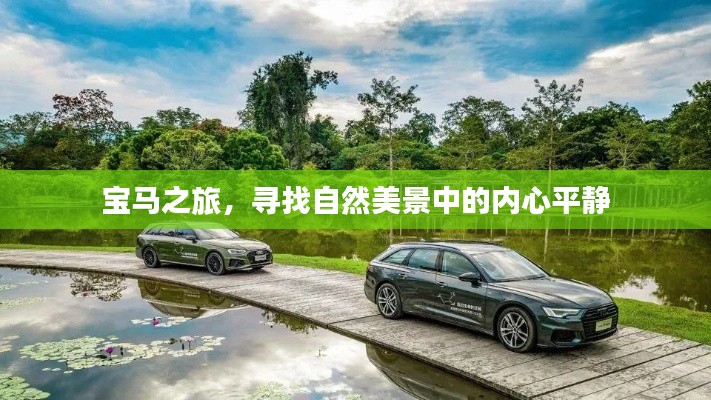一丝不苟 第3页