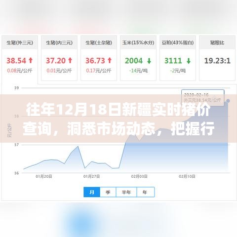 往年12月18日新疆实时猪价查询,洞悉市场动态,掌握行业趋势先机