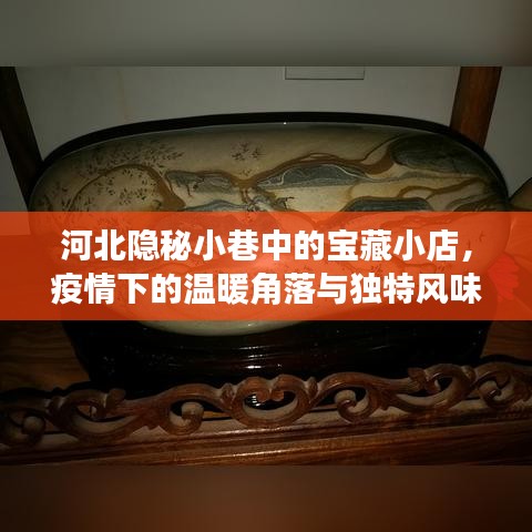 河北隐秘小巷的宝藏小店,疫情下的独特风味与温暖角落探索