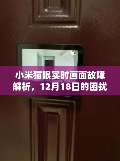 小米猫眼实时画面故障解析,困扰与解决之道(12月18日版)