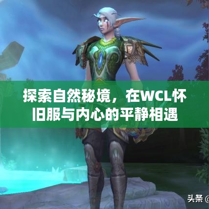 WCL怀旧服,探索自然秘境,邂逅内心平静之旅