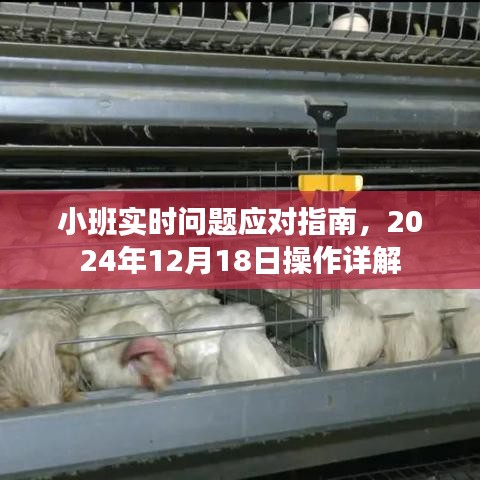 走马章台 第3页