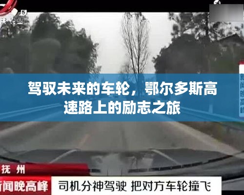 温柔敦厚 第5页