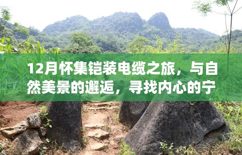 12月怀集铠装电缆之旅,与自然美景的邂逅,探索内心宁静之道