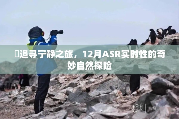 追寻宁静之旅,ASR实时性的自然探险之旅,探寻奇妙十二月的宁静秘境