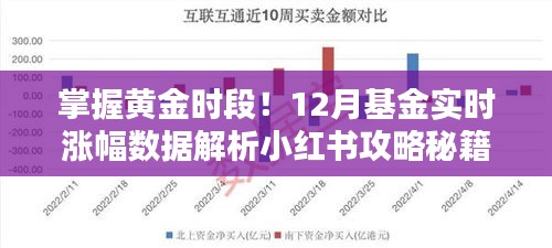 掌握黄金时段!小红书基金攻略秘籍,揭秘十二月基金实时涨幅数据解析