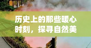 母凭子贵 第3页