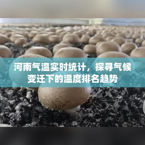 作舍道边 第4页