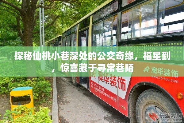 福星降临仙桃小巷,公交奇缘与惊喜巷陌探秘