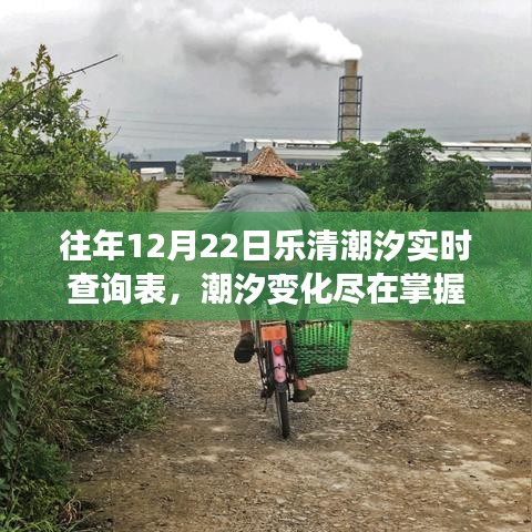 往年12月22日乐清潮汐实时查询表,潮汐动态一目了然