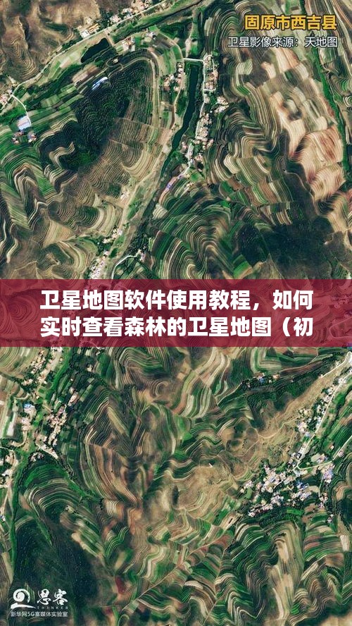 卫星地图软件教程,实时查看森林地图的初学者与进阶用户指南