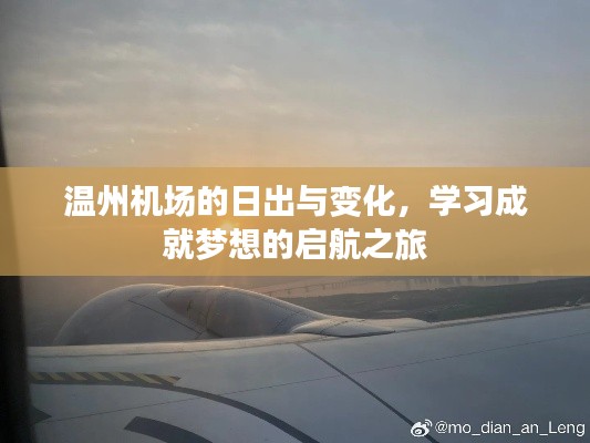 百不得一 第3页