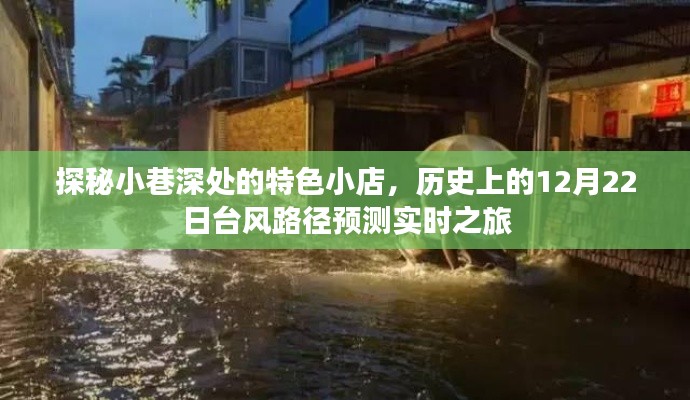 探秘小巷特色小店与台风路径预测之旅