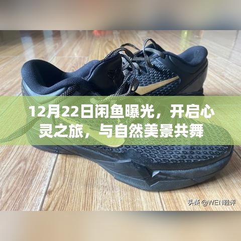 闲鱼心灵之旅,与自然美景共舞,开启冬日惊喜曝光日