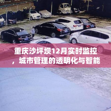 重庆沙坪坝12月实时监控,城市管理的透明化与智能化观察之路