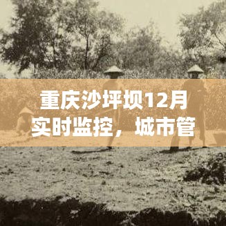 重庆沙坪坝12月实时监控,城市管理的透明化与智能化观察之路