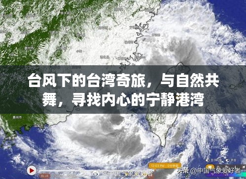 后会无期 第4页