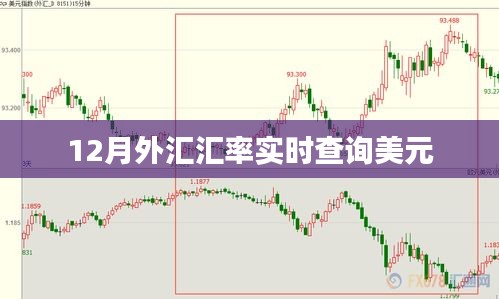 12月美元外汇汇率实时查询