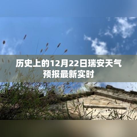 瑞安天气预报,最新实时天气信息,历史上的12月22日天气概况。