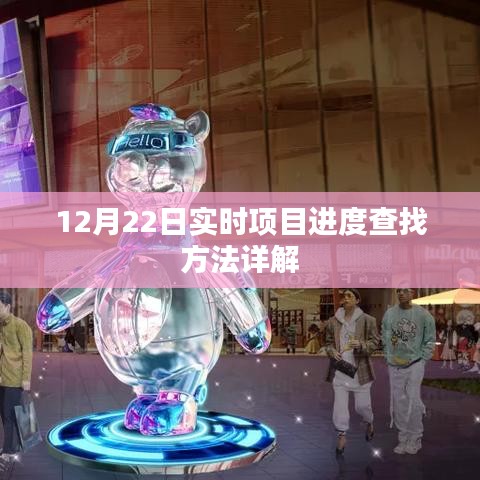 实时项目进度查找方法详解,12月22日最新指南