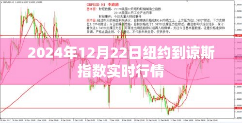 纽约到谅斯指数实时行情(最新动态)